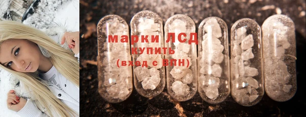 гидра Майский