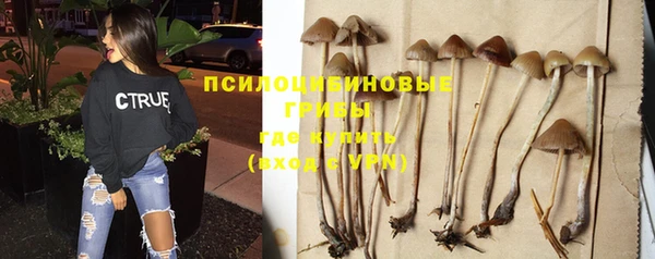 гидра Майский