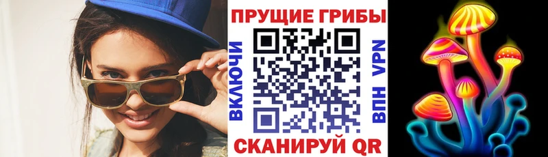 Псилоцибиновые грибы MAGIC MUSHROOMS  Шумиха 